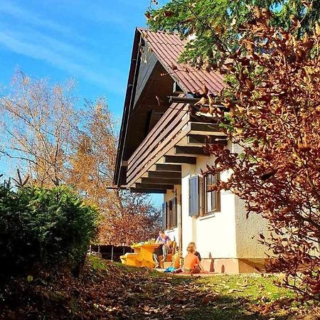 Вілла Pet & Family Friendly House Viktorija - House Near Golica With Triglav View Єсеніце Екстер'єр фото