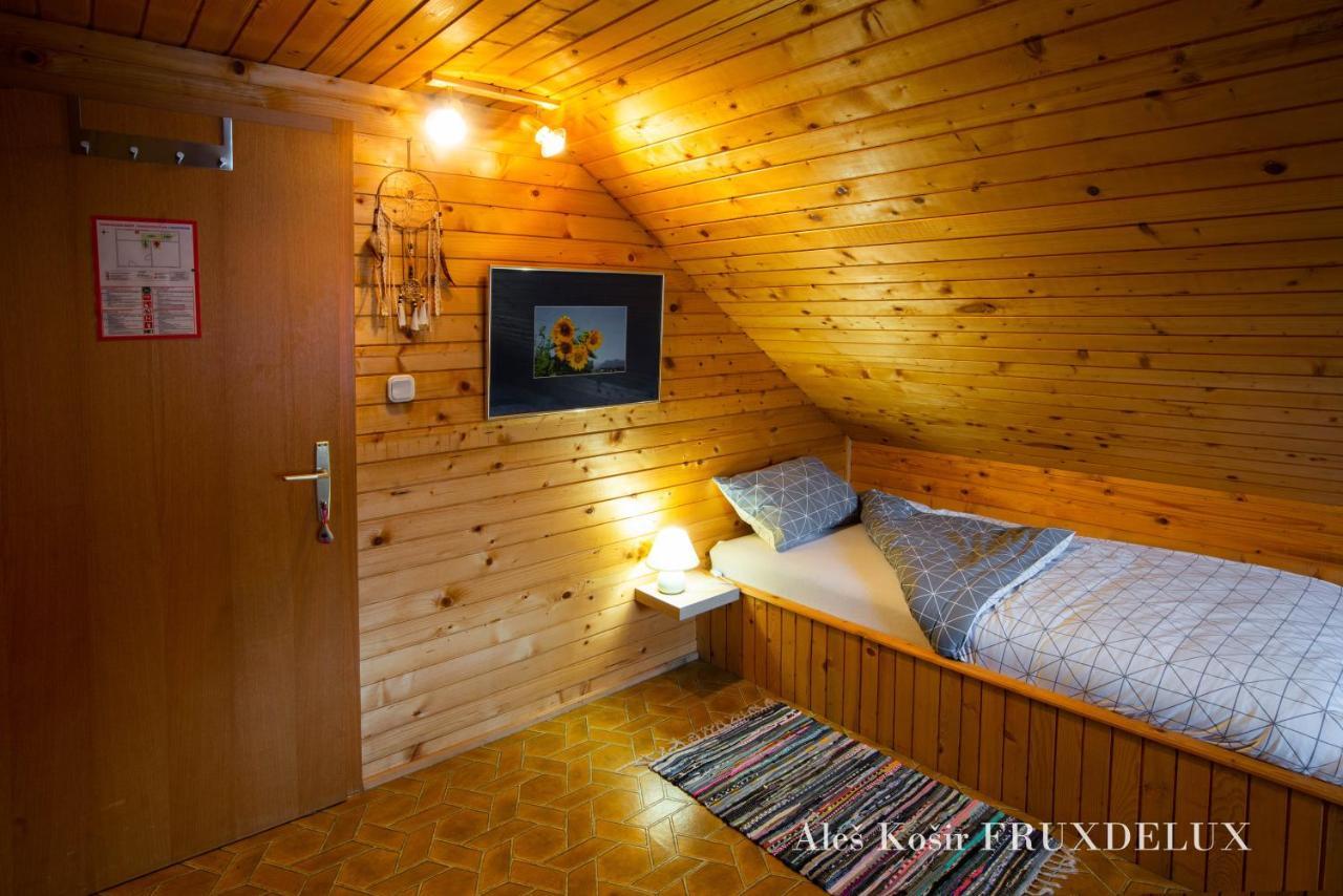 Вілла Pet & Family Friendly House Viktorija - House Near Golica With Triglav View Єсеніце Екстер'єр фото