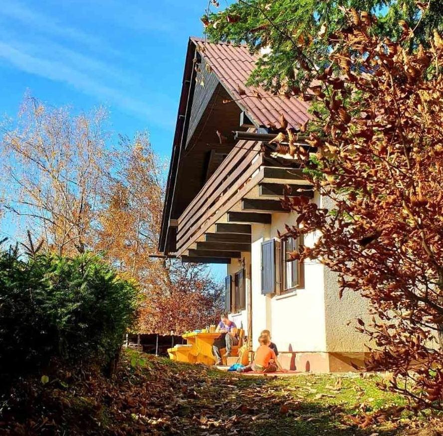 Вілла Pet & Family Friendly House Viktorija - House Near Golica With Triglav View Єсеніце Екстер'єр фото