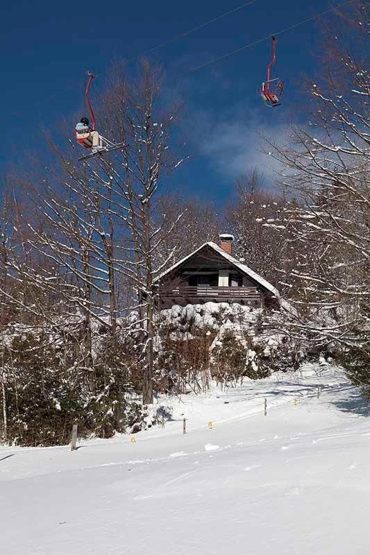 Вілла Pet & Family Friendly House Viktorija - House Near Golica With Triglav View Єсеніце Екстер'єр фото
