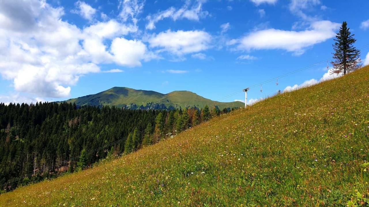 Вілла Pet & Family Friendly House Viktorija - House Near Golica With Triglav View Єсеніце Екстер'єр фото
