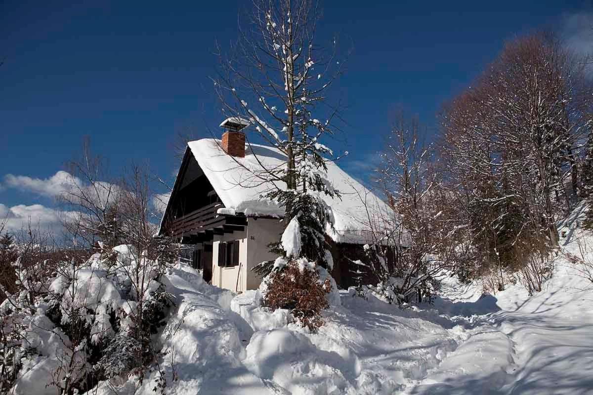 Вілла Pet & Family Friendly House Viktorija - House Near Golica With Triglav View Єсеніце Екстер'єр фото