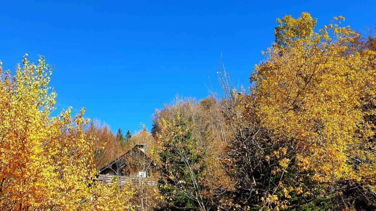 Вілла Pet & Family Friendly House Viktorija - House Near Golica With Triglav View Єсеніце Екстер'єр фото