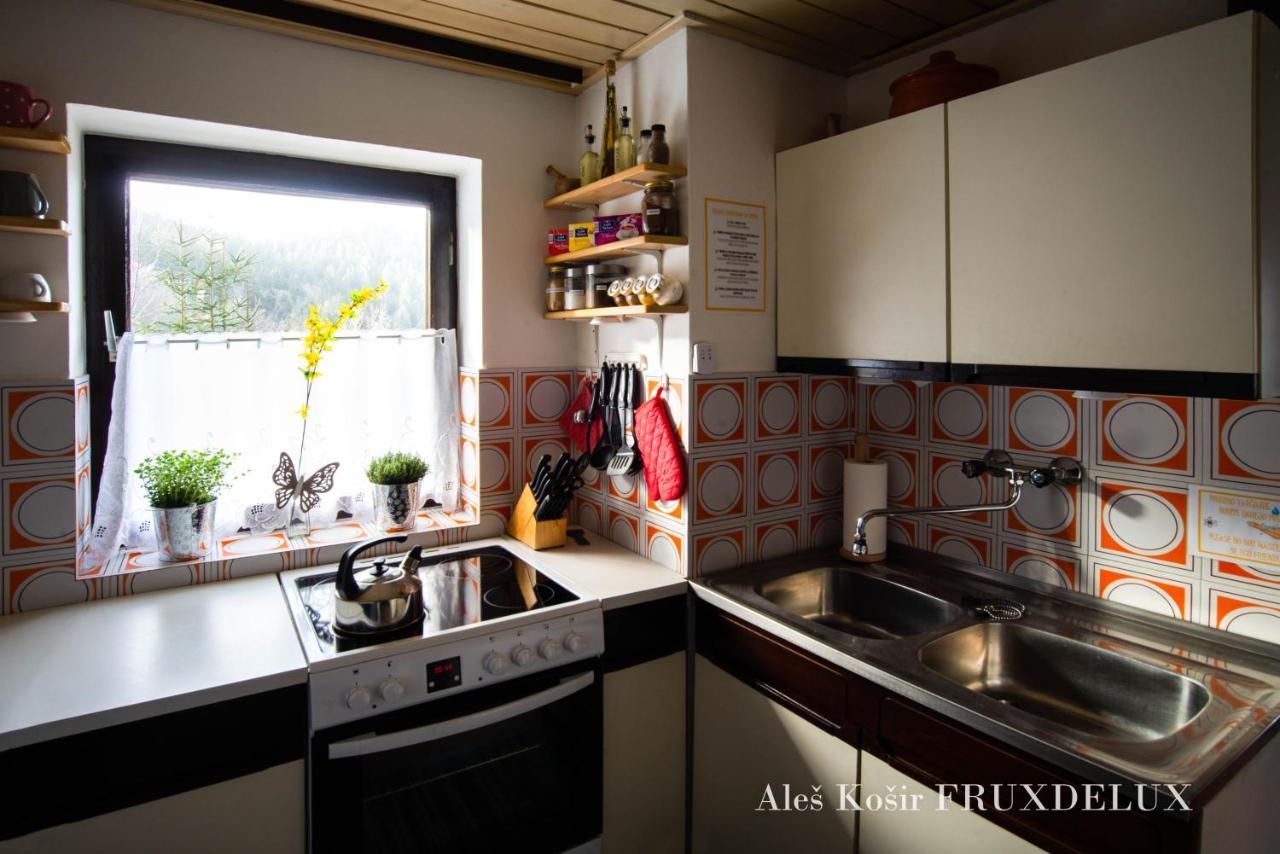 Вілла Pet & Family Friendly House Viktorija - House Near Golica With Triglav View Єсеніце Екстер'єр фото