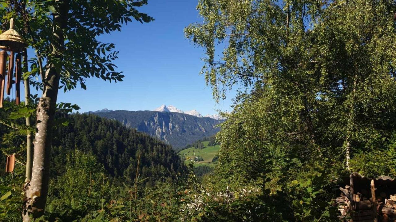 Вілла Pet & Family Friendly House Viktorija - House Near Golica With Triglav View Єсеніце Екстер'єр фото